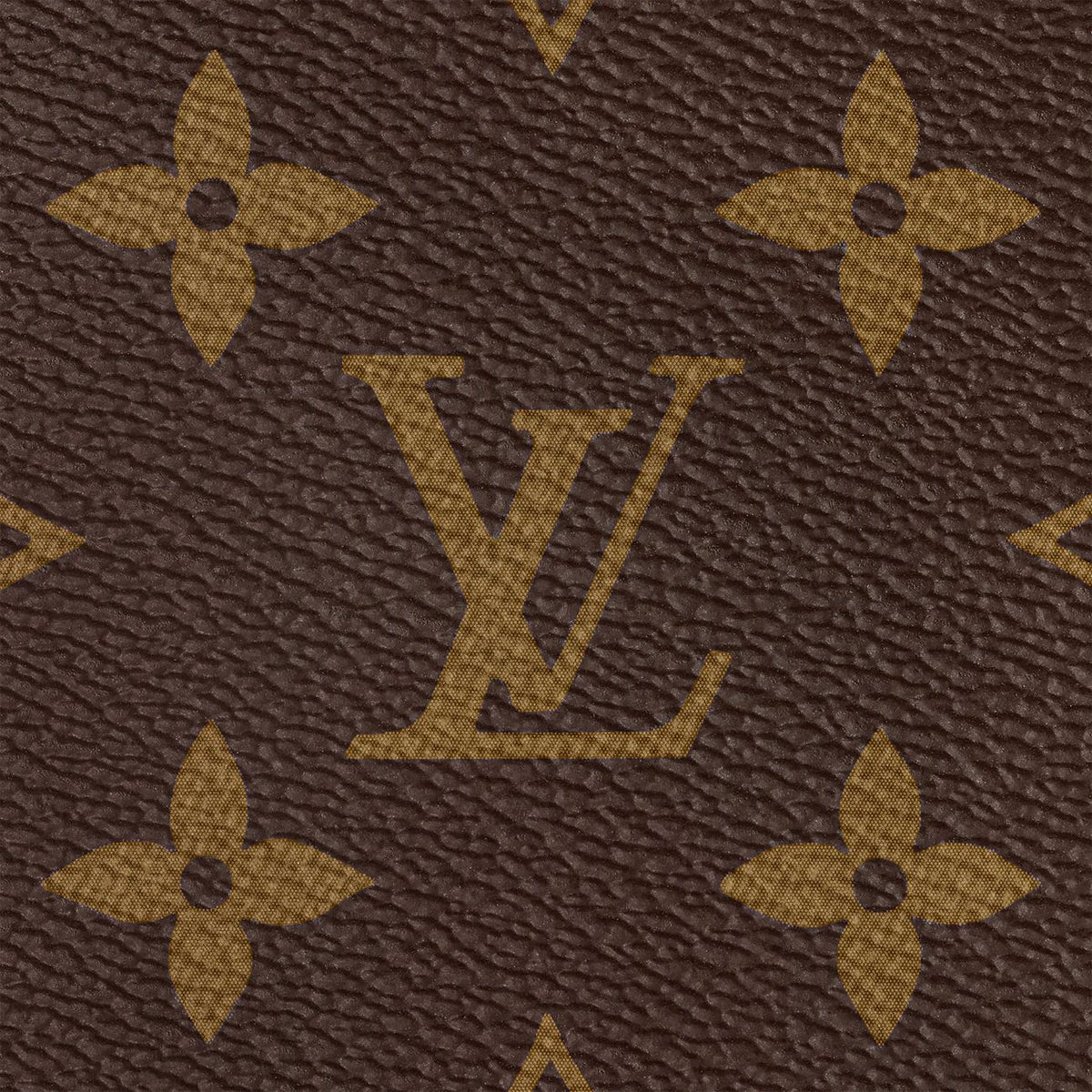 LV Speedy